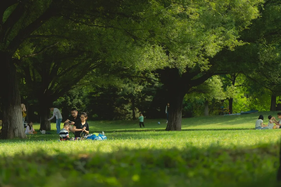 Heading Outdoors This Summer? — Here Are Some Things to Consider