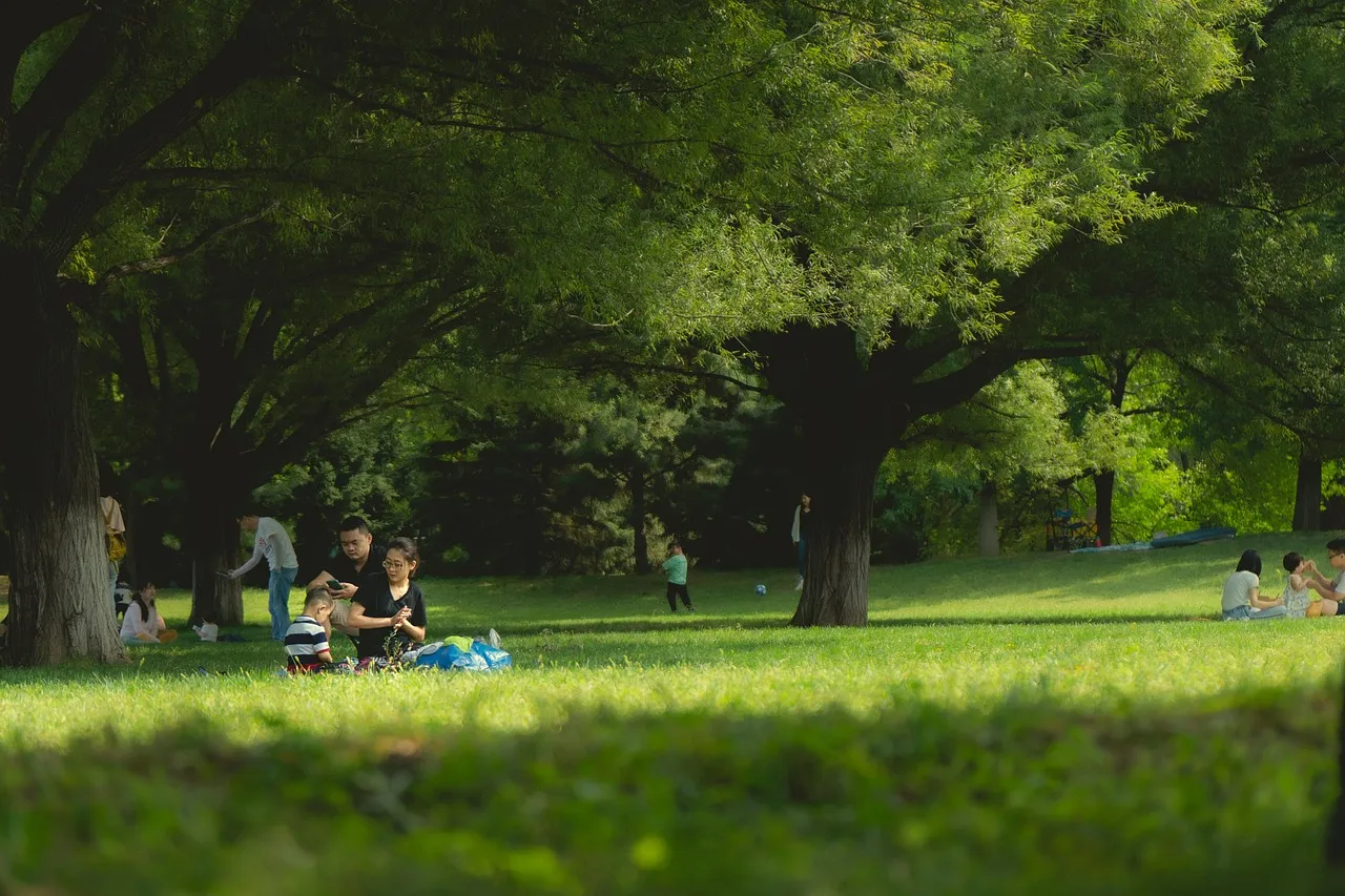 Heading Outdoors This Summer? — Here Are Some Things to Consider