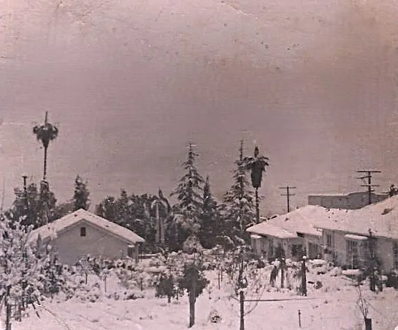 Altadena, Remembered: Displaced Fire Survivors Gather in Solidarity and Love